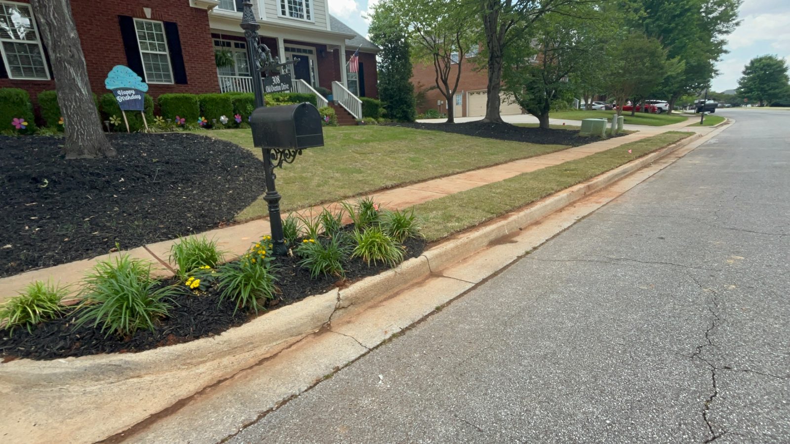 Curb mulch bed with plantings after install
