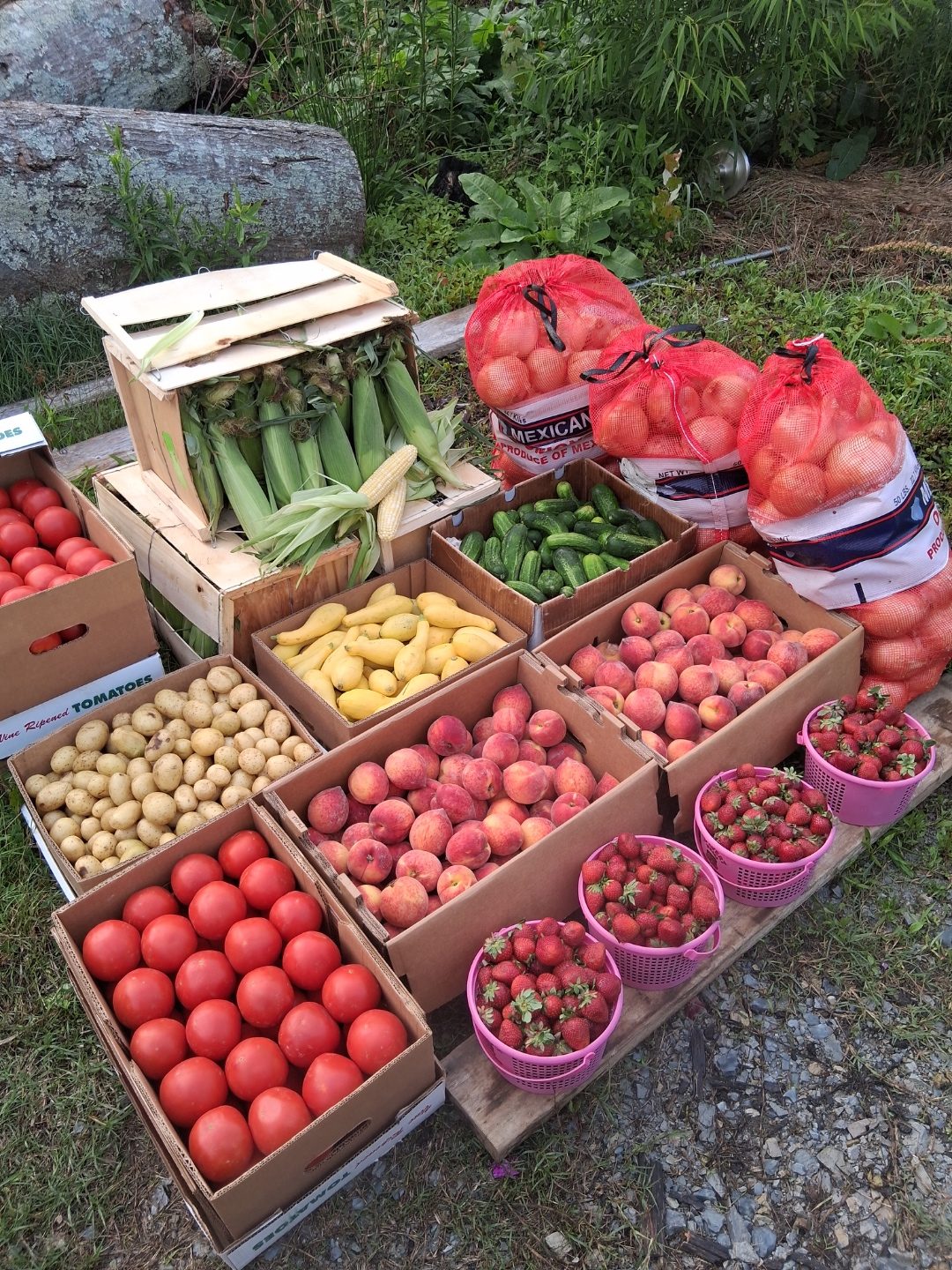 Fresh produce spread — tomatoes, corn, peaches and more