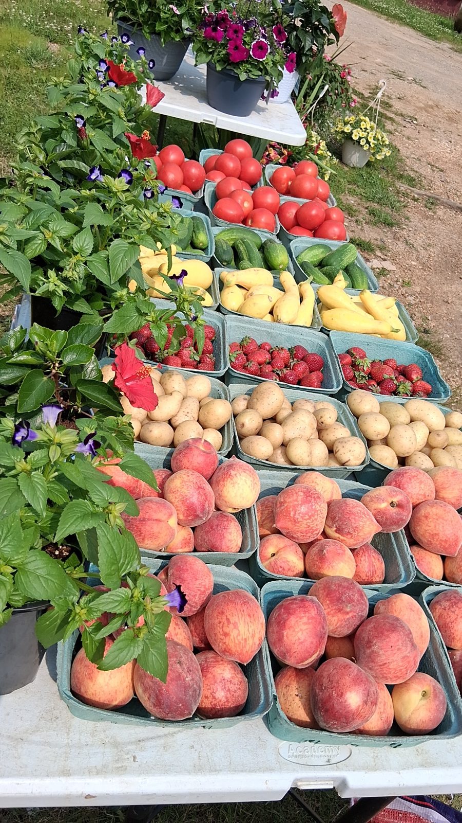 Peaches, strawberries, squash and more at our produce stand