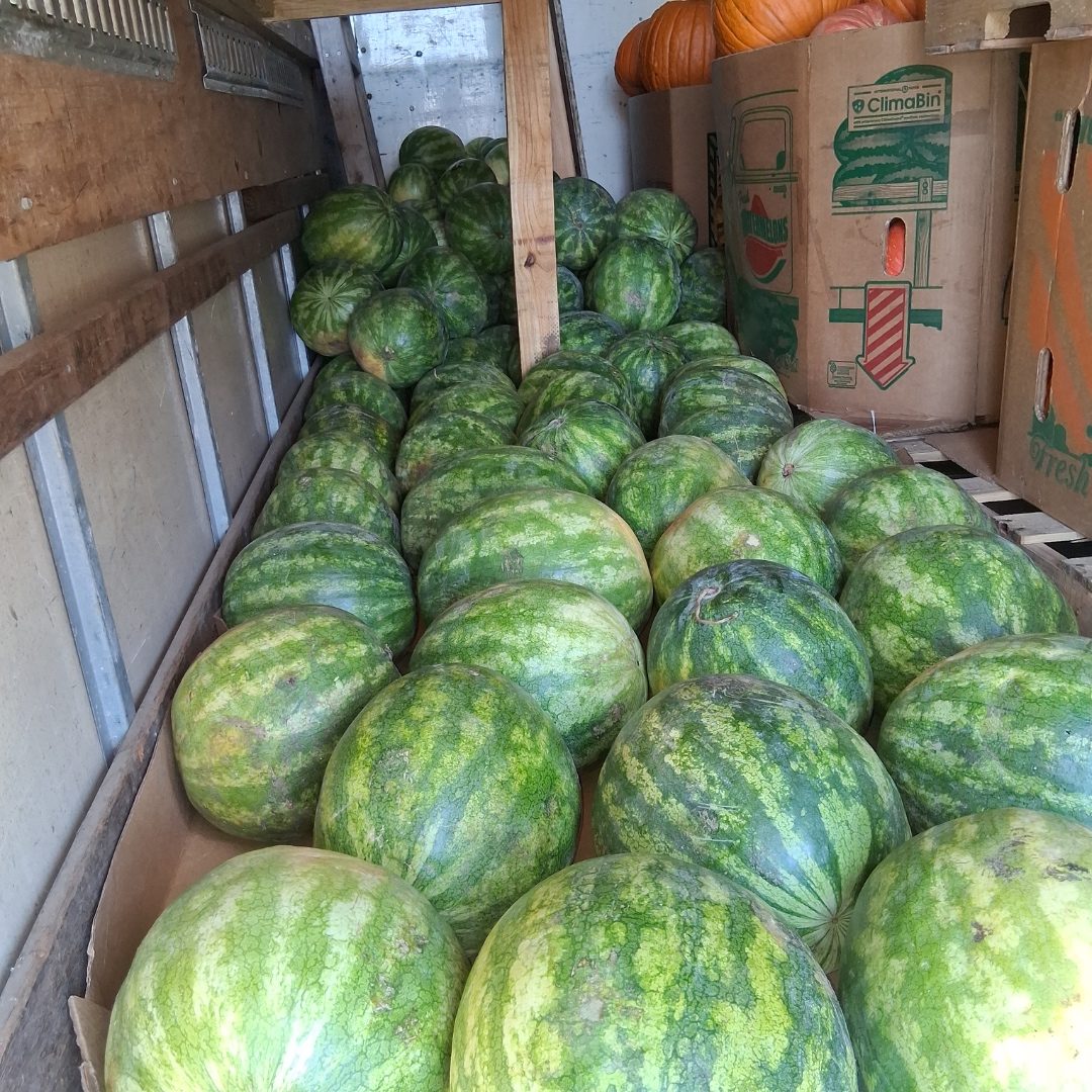 Watermelons fresh off the truck